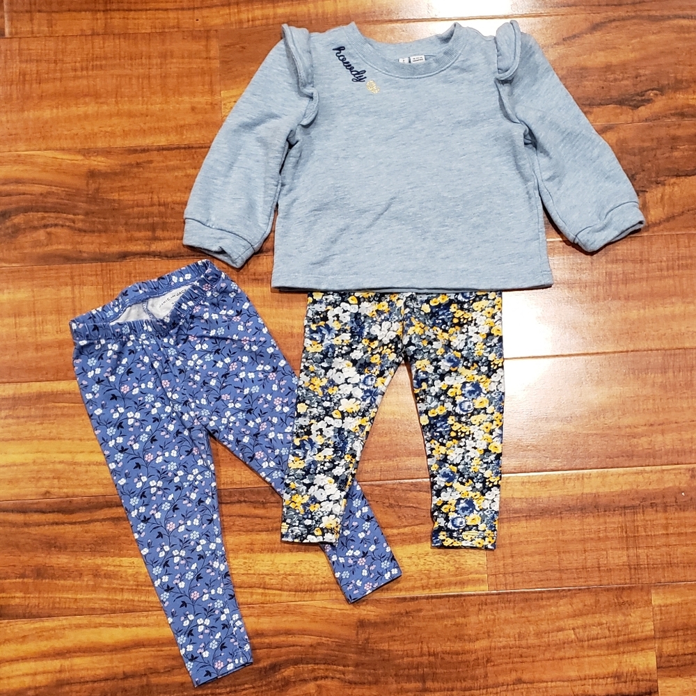 Janie and Jack EUC 18-24 months mix & match sweatshirt and floral leggings (2)